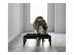 Yamazaki Comida Para Animales De Compañía|Cuenco de diseño doblemente elevado para el gato Tower