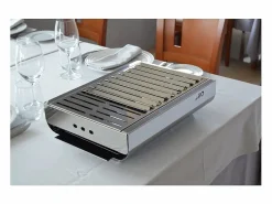 Don Hierro - Barbacoa de Carbón Portátil TRENDY en Acero Inoxidable, Compacta y Resistente – 44 x 29,5 x 12 cm- Plateado Best