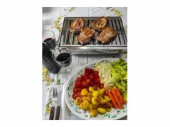 Don Hierro - Barbacoa de Carbón Portátil TRENDY en Acero Inoxidable, Compacta y Resistente – 44 x 29,5 x 12 cm- Plateado Best