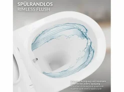 LuxeBath ECD Germany Inodoro suspendido sin brida, largo 52 cm, , con función bidé, revestimiento Nano, de cerámica, tapa de inodoro, cierre suave, cisterna Blanco Hot