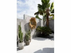 Bazar Bizar El Espejo Sunken Forest - Natural Color natural claro Best
