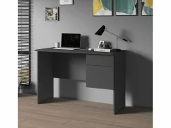 Escritorio Easy con 1 puerta y 1 cajón, color antracita mate, 110 x 50 x 75 cm Gris antracita Best