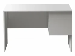 Escritorio Easy con 1 puerta y 1 cajón mate 110x50x75 cm Blanco