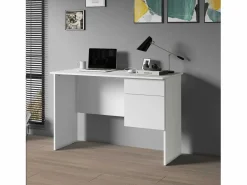Escritorio Easy con 1 puerta y 1 cajón mate 110x50x75 cm Blanco