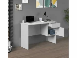 Escritorio Easy con 1 puerta y 1 cajón mate 110x50x75 cm Blanco