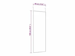 Espejo de puerta 40x100 cm Cristal y aluminio Dorado Online