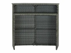 Garden Furniture Farid Mesa alta de jardín ratán sintético 120x55x110 cm Gris Outlet