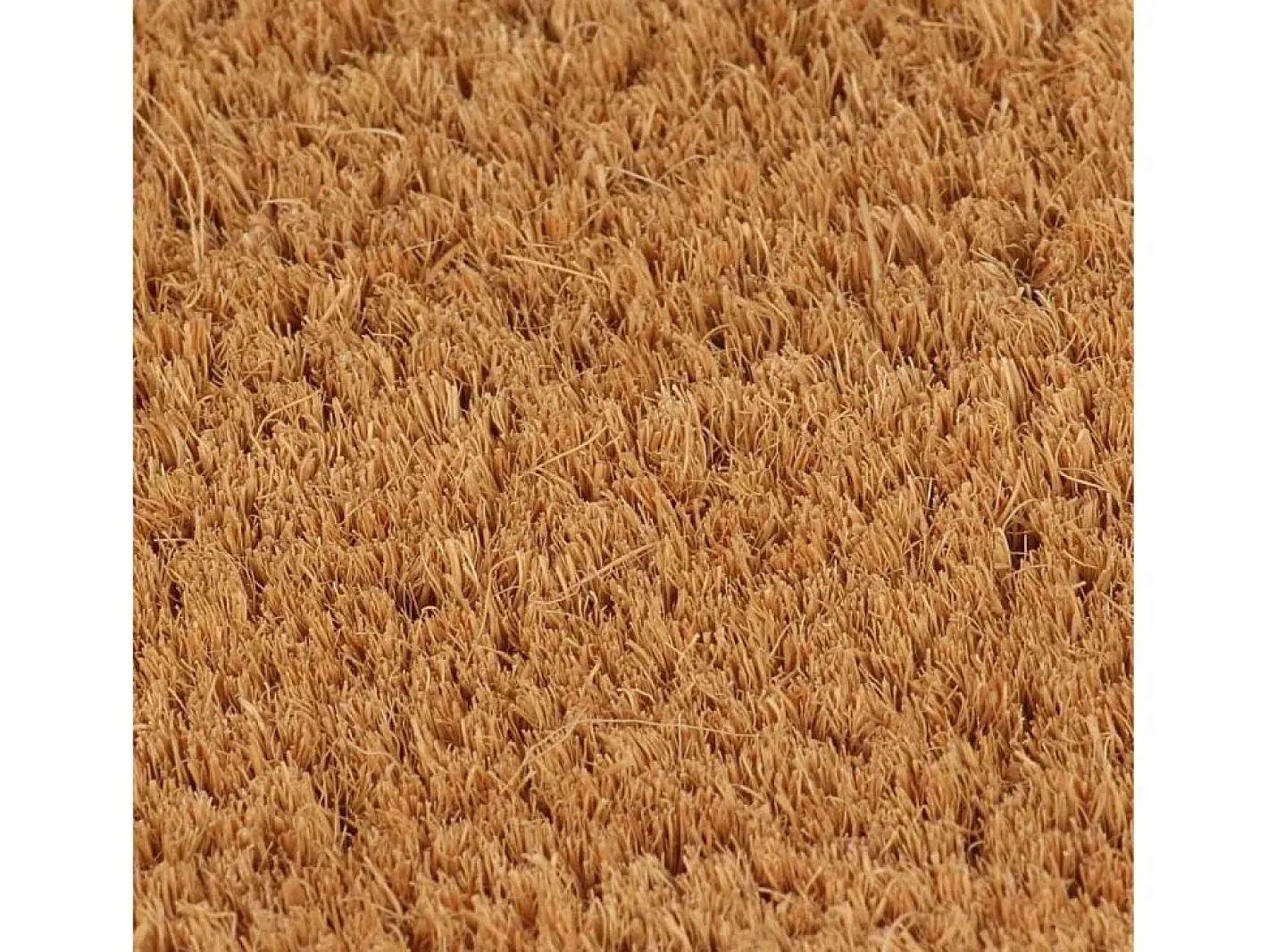Felpudo|Felpudo de fibra de coco natural 65x100 cm ES381653