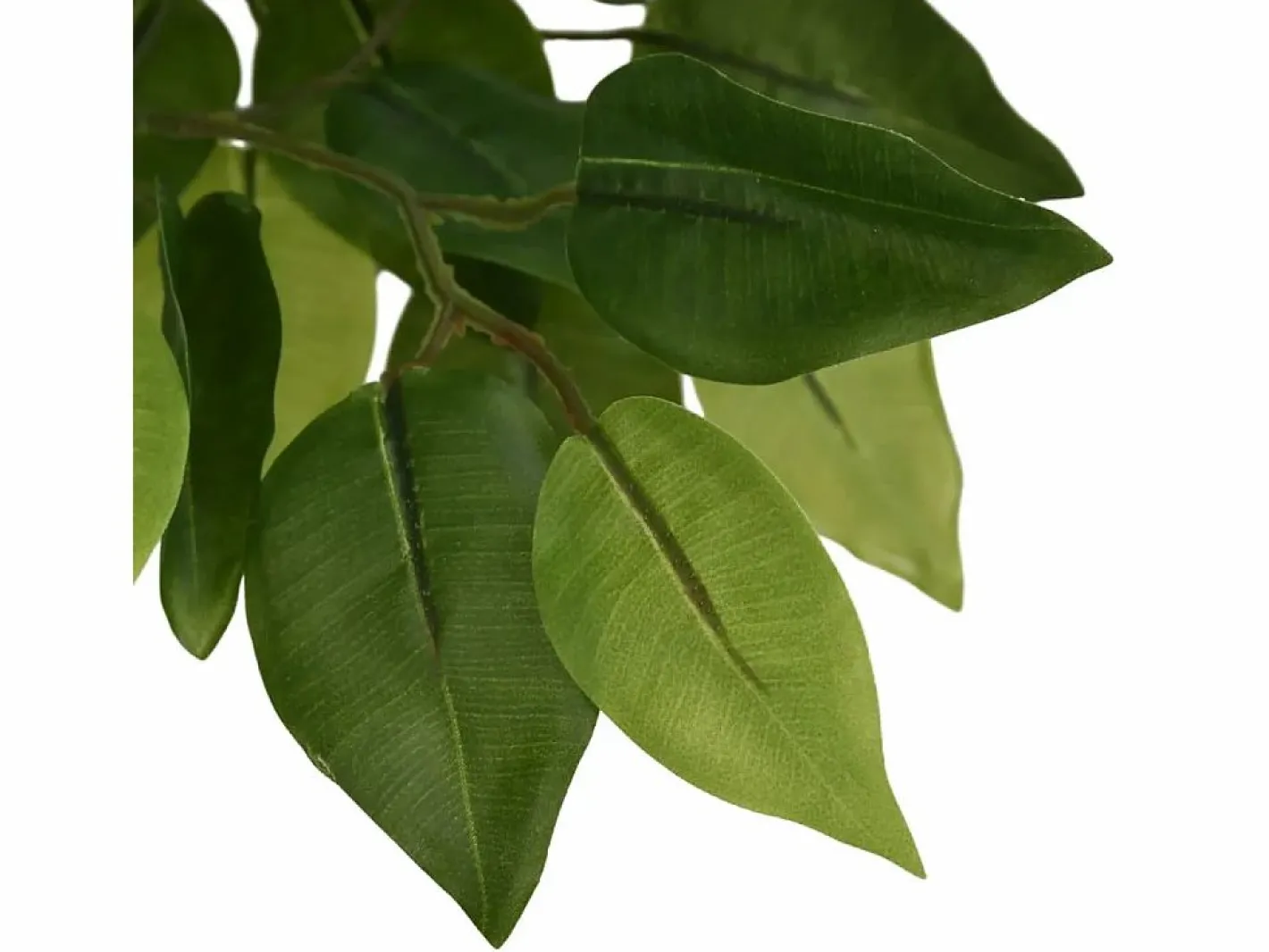 Ficus artificial 378 hojas 80 cm^ Sale