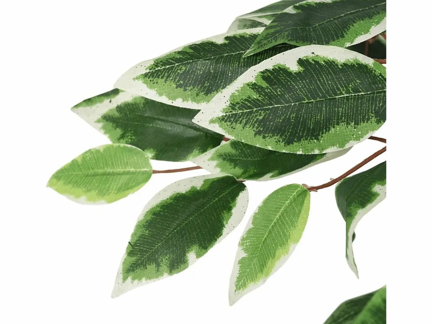 Ficus artificial 378 hojas 80 cm Verde New