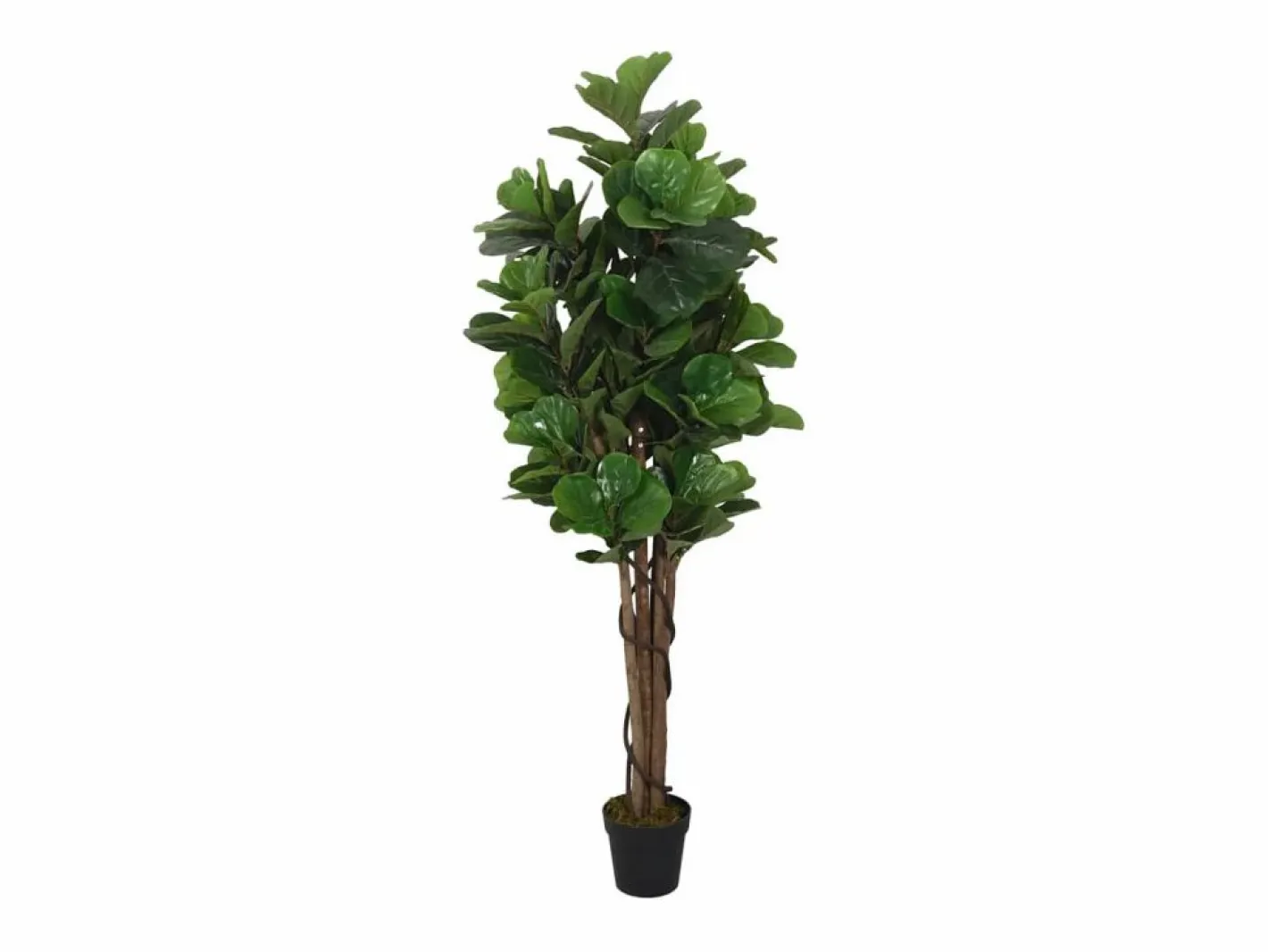 Planta Artificial|Ficus lyrata artificial 232 hojas 180 cm
