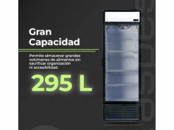 Frigorífico Aspes ARH185601D cíclico 295L D 185 cm^ Sale