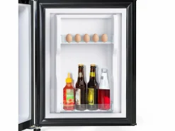 Hauss Spole Frigorífico de 60L con congelador de 22L y 2 puertas, LED - Negro Best