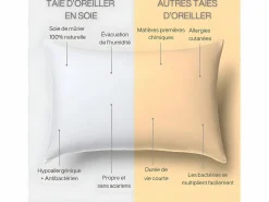 Inphysio Funda de Almohada en Pura Seda de Morera 65x65 Blanco Sale
