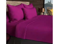 Soleil d'ocre Funda de almohada rectangular US 50x75 cm en algodón liso 57 hilos grosella negra Violeta Hot