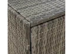 Garden Furniture Herber Armario de almacenaje de jardín ratán PE 100x55,5x80 cm Gris Sale