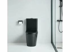 Inodoro cerámica CIPOLI cisterna baja mate^STANO
