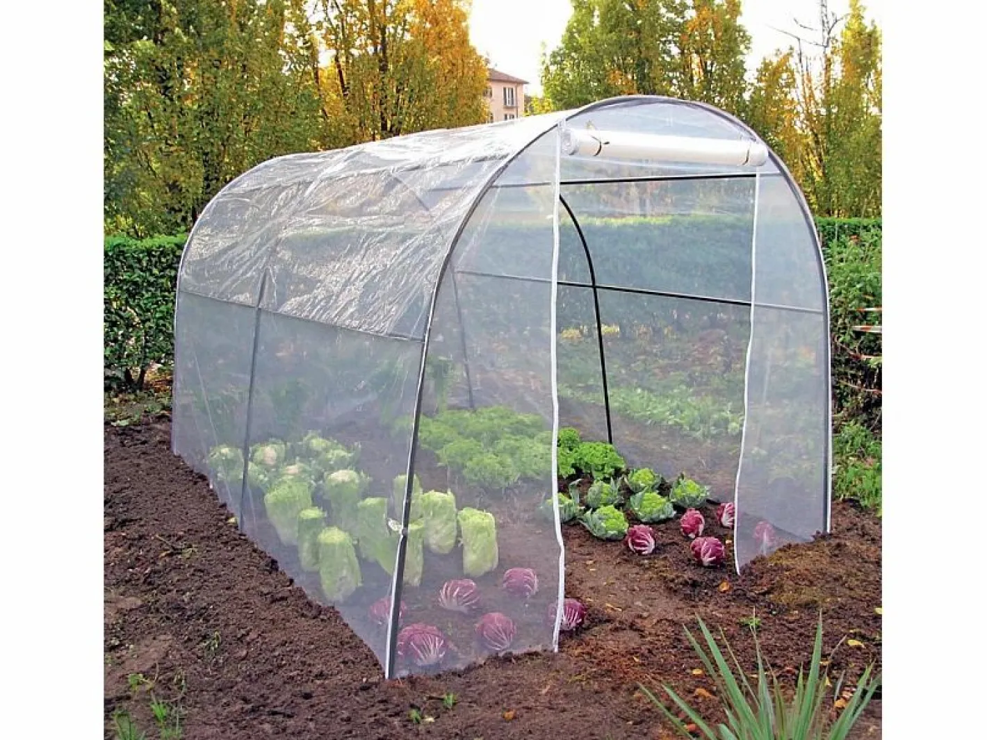 Invernadero de jardín tipo túnel en PVC de 200 x 300 x h180 cm para flores y plantas Orto L^Buzz metallurgica Sale