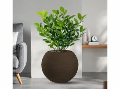 Jarrón de resina con diseño de esfera redonda Botticelli Marrone para plantas de interior y exterior, diámetro 40 x 33 h^ Sale
