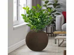 Jarrón de resina con diseño de esfera redonda Botticelli Marrone para plantas de interior y exterior, diámetro 40 x 33 h^ Sale