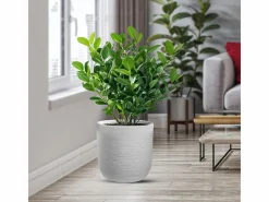 Jarrón de resina de interior y exterior para plantas cilíndricas de diseño d.35x34h Raffaello Bianco^