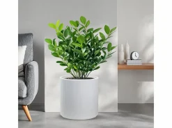 Jarrón|Jarrón de resina para plantas de interior y exterior, diseño cilíndrico redondo d.36x35h Modigliani