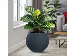 Jarrón de resina para plantas de interior y exterior, diseño esfera redonda d.40x33h Botticelli Gris