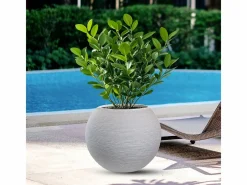 Jarrón redondo de resina en forma de esfera Botticelli para plantas de interior y exterior, 40x33 cm Beige New