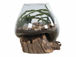 Jarrón sobre base de madera de cristal 18x20 cm^House Nordic Discount
