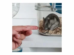 ZOLUX Transportín De Paseo Para Animales|Jaula para roedores pequeños Rody 3 duo