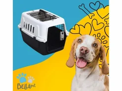AHD Jaula transportín rígido para animales con almohadilla 40 x 58 x 38 Rexxy L Multicolor Best