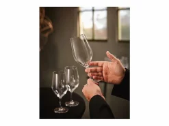 Chef & Sommelier Vaso|Juego de 6 Copas de Pie 45 cl Colección Evidence por Chef&Sommelier
