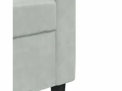 vidaxl Juego de sofás con cojines 2 piezas terciopelo claro Gris Discount