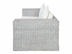 vidaxl Juego de sofás con cojines 2 piezas ratán natural Gris Best