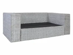 vidaxl Juego de sofás con cojines 2 piezas ratán natural Gris Best