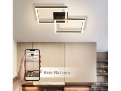 NETTLIFE Lámpara de techo LED para dormitorio, 24 W, para sala de estar, blanca cálida, moderna, cuadrada y negra. Negro Outlet