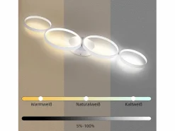 NETTLIFE Lámpara de techo LED de 100 cm regulable con 4 anillos, iluminación blanca moderna de 56 W con control remoto Blanco New