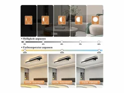 NETTLIFE Lámpara de techo LED negra moderna regulable para dormitorio con 1 foco de techo Negro Hot
