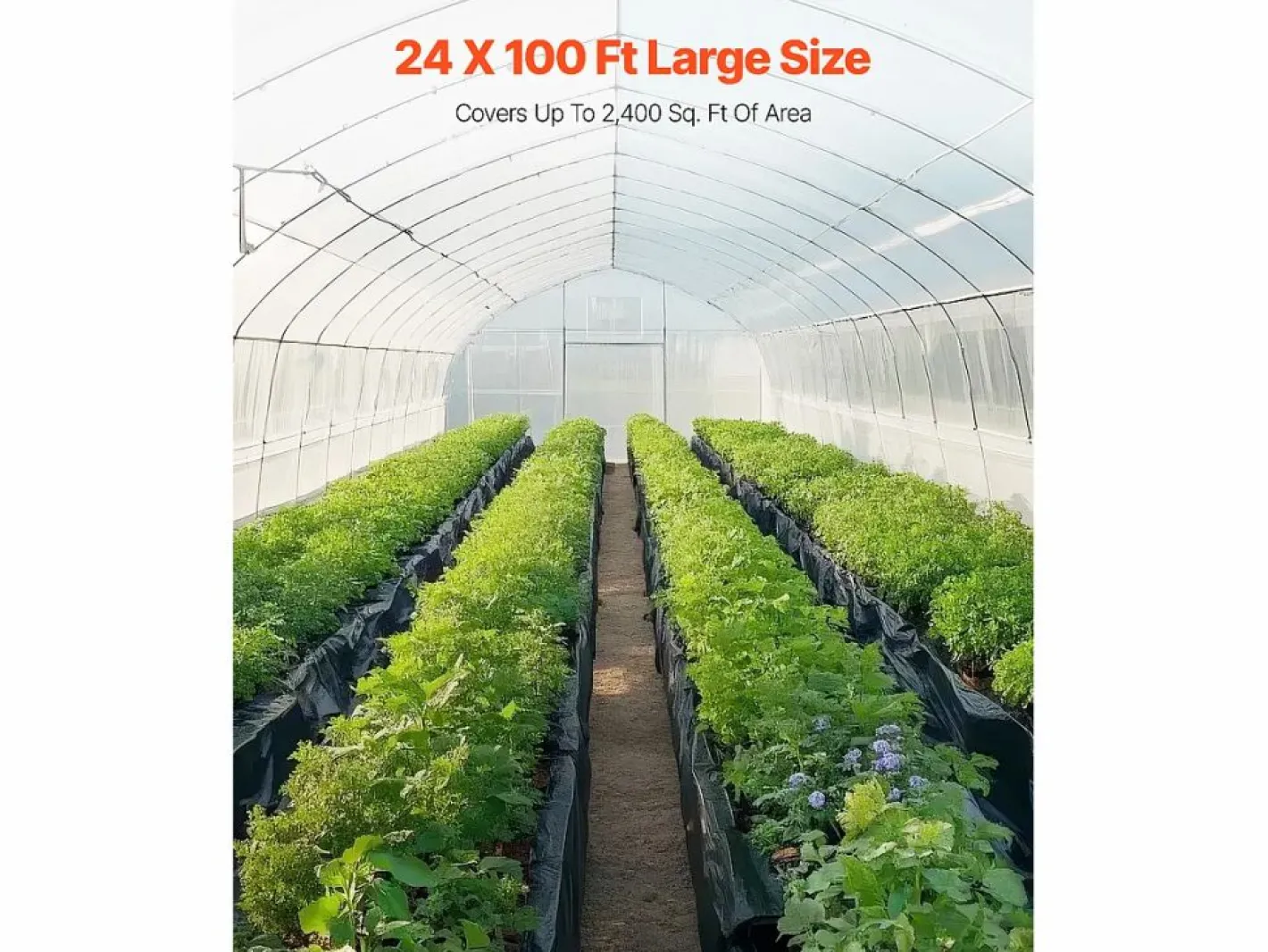 Invernadero De Jardín|Lona de Plástico Resistente SucceBuy Rollo de Lámina de Plástico de 0,15 mm, 731,5 x 3048 cm, Polietileno de Alta Resistencia