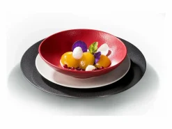 MEDARD DE NOBLAT Lote de 6 Platos Llanos Stone 27 cm - Colección Médard de Noblat Rojo New