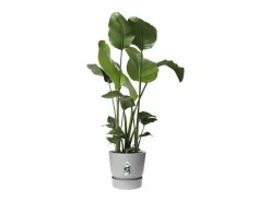 Maceta redonda 40 - Exterior Ø 39 x 36,8 cm - Living hormigón^ELHO Outlet