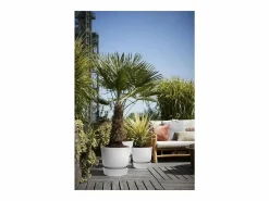 Maceta redonda 40 - Exterior Ø 39 x 36,8 cm - Living hormigón^ELHO Outlet