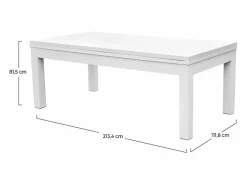 Rendez-Vous Déco Mesa de billar convertible blanca con alfombra - Eddie Azul Best