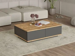 Vente-unique Mesa de centro con 2 puertas - Natural Claro y Antracita - LOTULA Gris antracita / Color natural claro Best