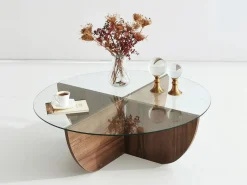 Vente-unique Mesa De Centro|Mesa de centro de vidrio templado AYSUN - Natural oscuro y transparente