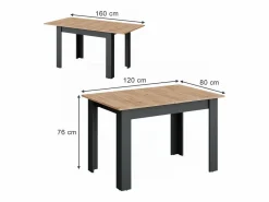 Vicco Mesa de comedor antracita/roble dorado 160x80x76 repose Gris antracita / Color natural claro Discount