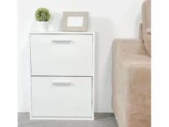 Meyvaser - Zapatero con 2 Puertas, Mueble para Zapatos Estrecho en Color , Medidas: 73 cm (Alto) x 54 cm (Ancho) x 18 cm (Fondo) Blanco Sale