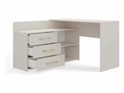 TOPESHOP Mesa De Ordenador|MOLINE - Escritorio esquinero con almacenaje - 3 cajones + 2 estantes - 120x50x76 cm - Escritorio para ordenador