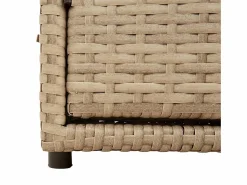 Armario De Jardín|Mueble de jardín 110x55x60,5 cm resina trenzada