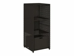 Mueble de jardín de resina trenzada, 50x55x115 cm^ Sale